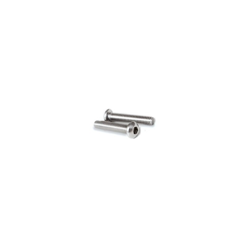 VITE TBEI M4x16 ISO 7380 INOX A2